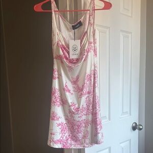 Cider Pink and White Dress